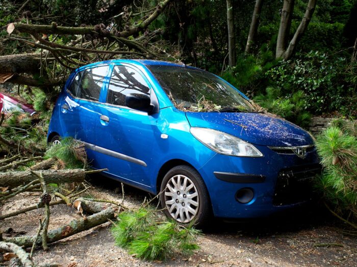 Photo by Mike Bird: https://www.pexels.com/photo/fallen-trees-on-a-hyundai-i10-5544753/